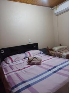 - une chambre avec un lit à rayures violettes et bleues dans l'établissement Departamentos Urquiza, à Puerto Iguazú