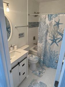 a bathroom with a sink and a toilet and a shower at Ocean Haus in Portsmouth