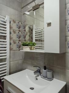 a bathroom with a sink and a mirror at Apartman Obala in Bosanska Gradiška