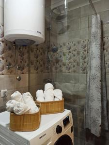 Koupelna v ubytování Apartman Obala + 14 fotografií