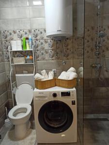 Koupelna v ubytování Apartman Obala