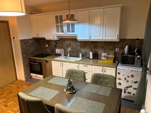 Kuchyň nebo kuchyňský kout v ubytování Apartman Obala