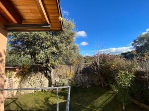 a view of a yard with a fence and a tree at Chalet en la naturaleza cerca de Segovia y Ávila in Ituero y Lama