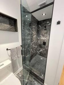 a bathroom with a glass shower with a toilet at Modern Home for 10+ with Hot Tub! in Ottawa
