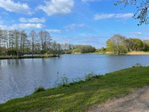 a view of a lake with trees and grass at Ferienwohnung Fehn in Rhauderfehn