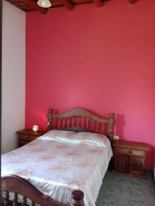 um quarto com uma cama com uma parede vermelha em Triana alquiler de casa para turista em San Rafael