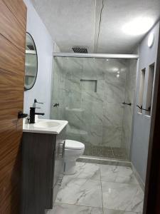 テキーラにあるCasa Landeros y Osunaのバスルーム(シャワー、トイレ、シンク付)