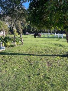 Zahrada ubytování Luxury Finca el Ensueño, casa entera, con Sauna, Jacuzzi, BBQ y Caballos
