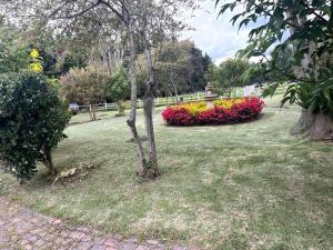 Zahrada ubytování Luxury Finca el Ensueño, casa entera, con Sauna, Jacuzzi, BBQ y Caballos