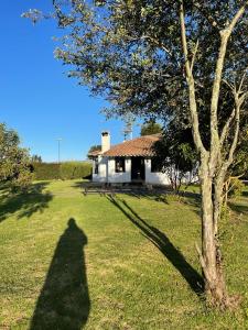 Zahrada ubytování Luxury Finca el Ensueño, casa entera, con Sauna, Jacuzzi, BBQ y Caballos