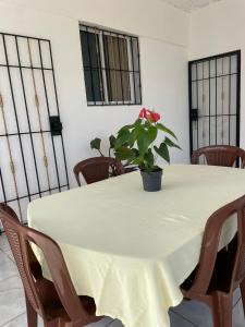 una mesa blanca con una maceta. en Casa refugio, en Las Galeras