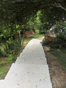 einen Fußweg in einem Garten mit Bäumen in der Unterkunft Tranquilidad en el campo in Falan