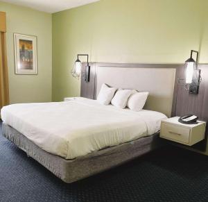 1 dormitorio con 1 cama grande con sábanas y almohadas blancas en Park Inn by Radisson Albany, en Albany