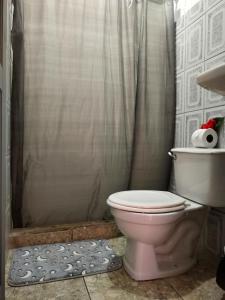 bagno con servizi igienici rosa e doccia di Anluka-House # 2 a Puerto Jiménez