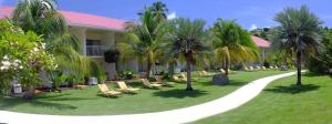 大灣的住宿－雷迪森格林納達海灘度假勝地，庭院里种有椅子和棕榈树的度假胜地
