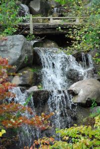 una cascada en un jardín con rocas y un puente en Radisson Hotel & Conference Center Rockford, en Rockford