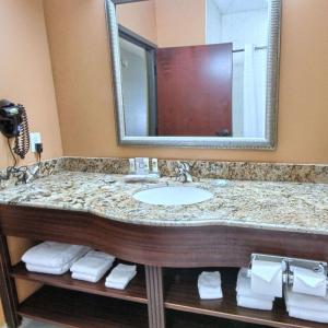 a bathroom with a sink and a large mirror at Country Inn & Suites by Radisson, Dearborn, MI in Dearborn