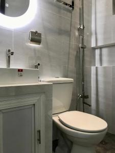 a bathroom with a toilet and a sink at Tiny House Air BnB in San Antonio +52 photos