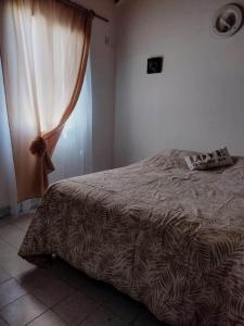ein Schlafzimmer mit einem Bett mit einem Vorhang und einem Fenster in der Unterkunft Mirhouse1 in Puerto Madryn