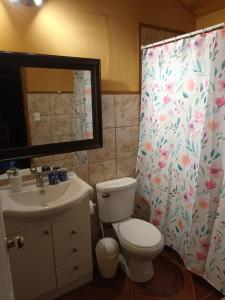 a bathroom with a toilet and a sink and a mirror at Casa Lago Vichuquén, Sector Sol de la Península in Vichuquén