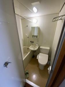 a small bathroom with a toilet and a sink at ロッヂ　スガノ in Zaō Onsen