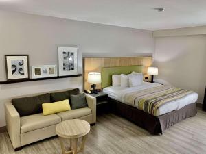 Country Inn & Suites by Radisson, Sandusky South, OH في Milan: غرفه فندقيه بسرير واريكه