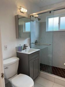 Un baño con ducha, inodoro y lavabo. en New 2BR 1Bath w/ Free Parking & Laundry near University of Berkeley, en Richmond