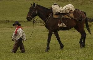 um rapaz a andar ao lado de um cavalo em Hacienda Yanahurco em Ovejería