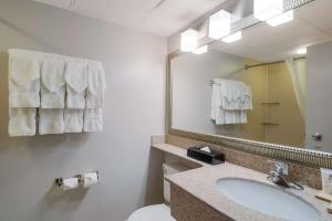 a bathroom with a sink and a toilet and a mirror at Country Inn & Suites by Radisson, Fredericksburg South I-95 , VA in Fredericksburg