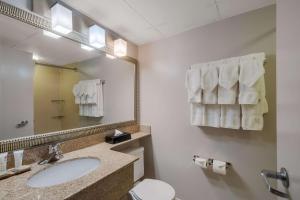 a bathroom with a sink and a mirror and a toilet at Country Inn & Suites by Radisson, Fredericksburg South I-95 , VA in Fredericksburg