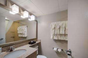 a bathroom with a sink and a mirror at Country Inn & Suites by Radisson, Fredericksburg South I-95 , VA in Fredericksburg