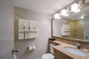 a bathroom with a sink and a mirror and a toilet at Country Inn & Suites by Radisson, Fredericksburg South I-95 , VA in Fredericksburg