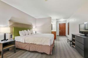 Country Inn & Suites by Radisson, Green Bay, WI في اشوبينون: غرفة فندقية بسرير كبير وتلفزيون بشاشة مسطحة