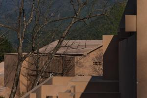 a building with a tree in front of it at SHANAN·深溪 in Anji