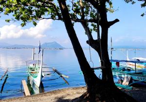 dois barcos sentados na água ao lado de uma árvore em Leynes Taal Lake Resort and Hostel em Tanauan