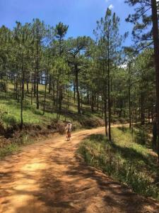 a person riding a bike down a dirt road at Family house - stay on pine hill Dalat in Xuan An