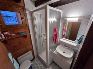 a small bathroom with a sink and a toilet at Chalet Les Angles, 4 pièces, 6 personnes - FR-1-593-107 in Les Angles