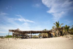 a beach with umbrellas and palm trees on the sand at Porã Chacahua in Guayabas