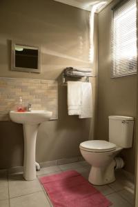 a bathroom with a white toilet and a sink at Alice@ Lloyd Guesthouse in Bloemfontein