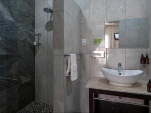 uma casa de banho com um lavatório e um chuveiro em Familia Guesthouse em Groblersdal