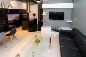 Μια τηλεόραση ή/και κέντρο ψυχαγωγίας στο Apartamenty Triton Park +20 φωτογραφίες