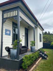 a dog sitting on the porch of a tiny house at Moore St Cottage in Ohakune