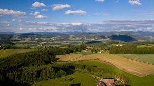 eine Luftansicht auf ein grünes Feld und Bäume in der Unterkunft Ferienwohnung „Rose“ in Wiesenfelden + 2 Fotos
