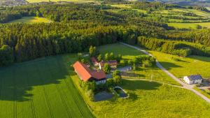eine Luftansicht eines Hauses auf einem grünen Feld in der Unterkunft Ferienwohnung „Rose“ in Wiesenfelden