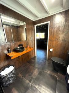 a bathroom with a sink and a toilet and a mirror at Mango Magic in Mangakino