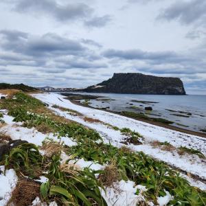 a beach covered in snow with a mountain in the background at Jeju Seongsan Golden View in Seogwipo