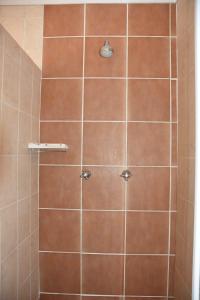 La salle de bains est pourvue d'une douche avec un mur carrelé brun. dans l'établissement CasaC Guesthouse, à Sasolburg
