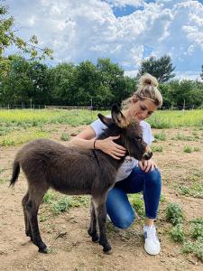 a woman is holding a small baby donkey at Centre médiation équine La Daouste in Jouques