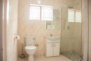 y baño con aseo, lavabo y ducha. en Laha Apartment 3, en Maun