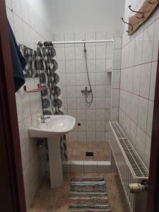 a bathroom with a sink and a shower at Alfa 2 apartament 3 in Bystra